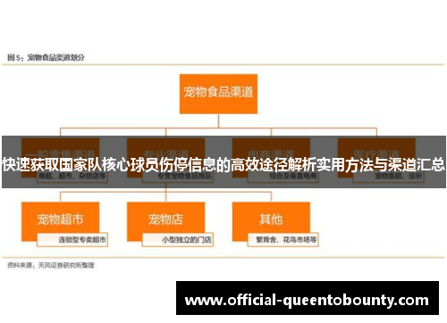 快速获取国家队核心球员伤停信息的高效途径解析实用方法与渠道汇总 快速获取国家队核心球员伤停信息的高效途径解析实用方法与渠道汇总