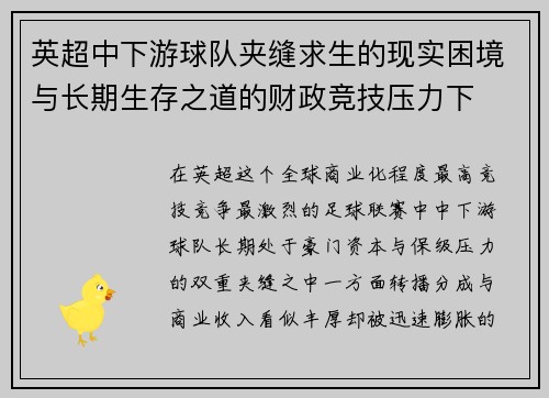 英超中下游球队夹缝求生的现实困境与长期生存之道的财政竞技压力下 英超中下游球队夹缝求生的现实困境与长期生存之道的财政竞技压力下